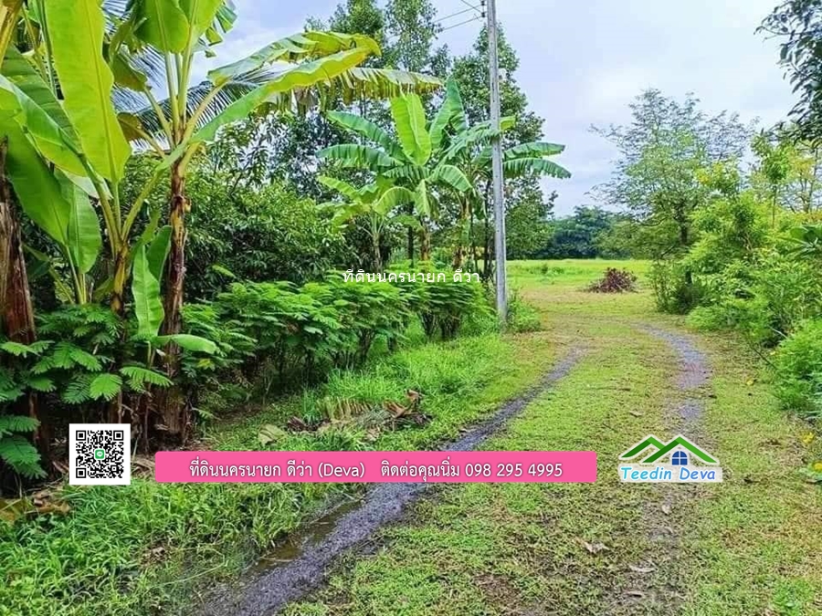 บ้านสวนผลไม้ สามารถเก็บผลผลิตได้เลย พื้นที่ 2 ไร่ 1 งาน อ.ปากพลี จ.นครนายก