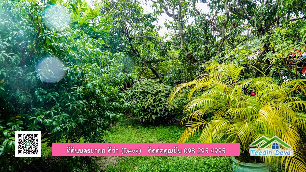 บ้านไทยประยุกต์ พร้อมสวนผลไม้ พืชผักสวนครัว ใกล้กับตัวเมืองนครนายก