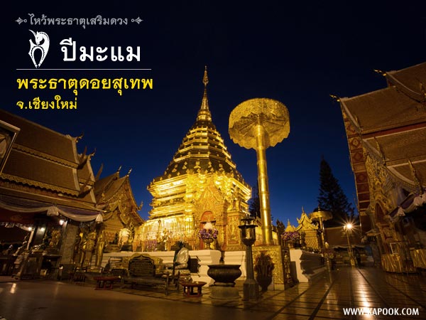 เหรียญพระธาตุดอยสุเทพ เนื้อทองแดง มหาวิทยาลัยเชียงใหม่ ปี 2549 (พระธาตุประจำปีเกิด ปีมะแม (แพะ))