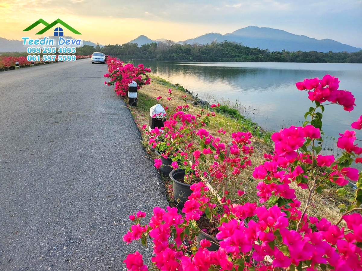 ที่ดินนครนายก บ้านพร้อมที่ดินสวยๆ ทำเลดี ติดกับอ่างเก็บน้ำ วิวธรรมชาติสวยๆ เนื้อที่ 50 ตร.ว. ต.เขาพระ อ.เมือง จ.นครนายก