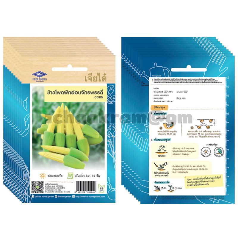 เมล็ดข้าวโพดฝักอ่อน-เจียไต๋ (10ซอง)