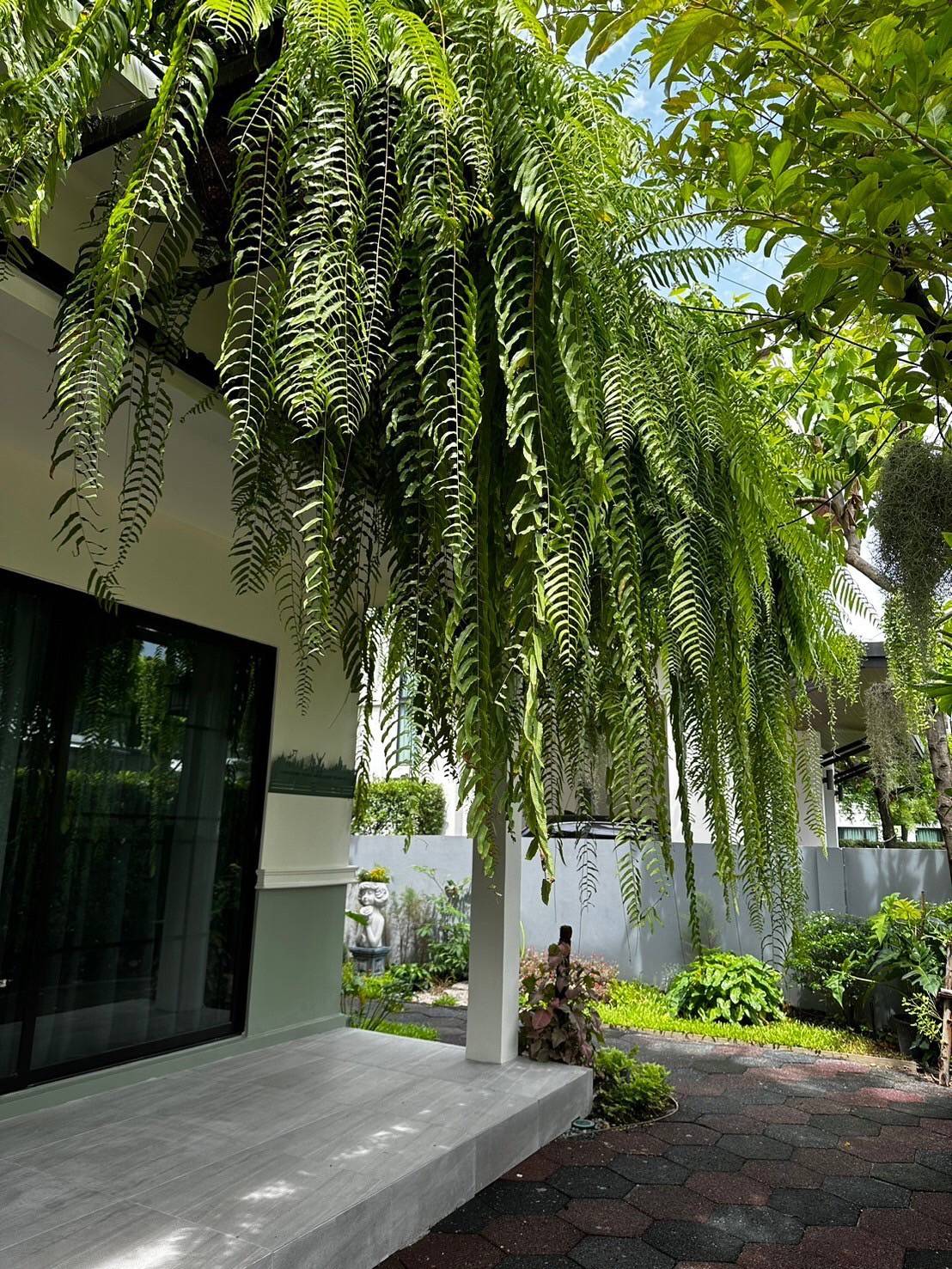 ให้เช่า บ้านเดี่ยว หมู่บ้าน WE/2 ซ.เฉลิมพระเกียรติ ร.9 ประเวศ รีโนเวทใหม่ทั้งหลัง (N.1570)