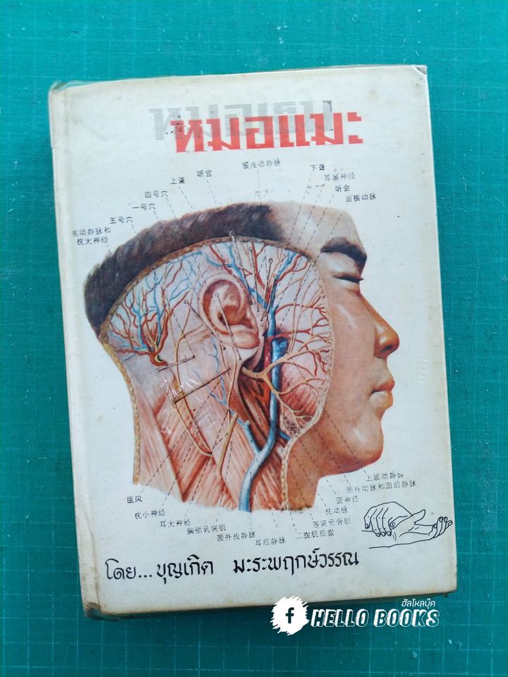 หมอแมะ