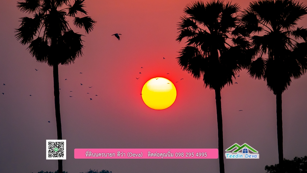 🌿 ที่ดินสวยๆ ขนาด 2 ไร่ พร้อมน้ำไฟ ดินดี น้ำดี อากาศดี มีเพื่อนบ้าน ณ ต.ปากพลี อ.ปากพลี จ.นครนายก