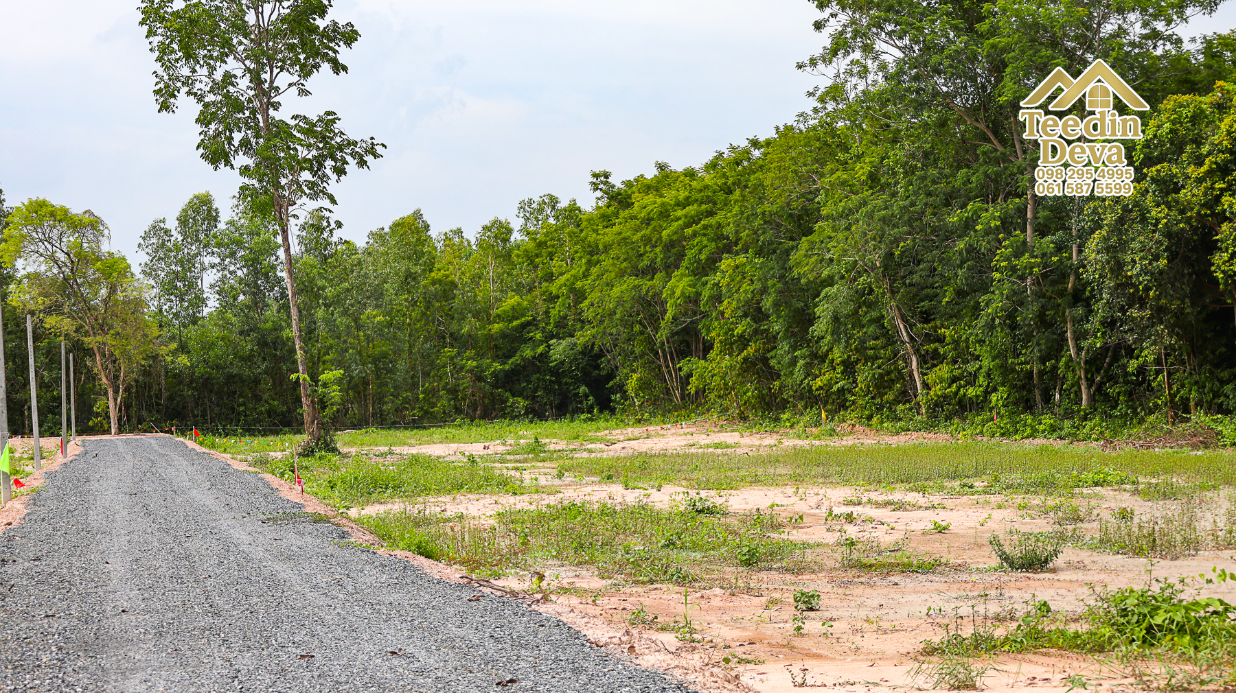 (🔴 ปิดการขาย) เริ่มต้นชีวิตแบบ Slow Life… บนผืนดินอบอุ่นกลางธรรมชาติ ต.ป่าขะ อ.บ้านนา จ.นครนายก