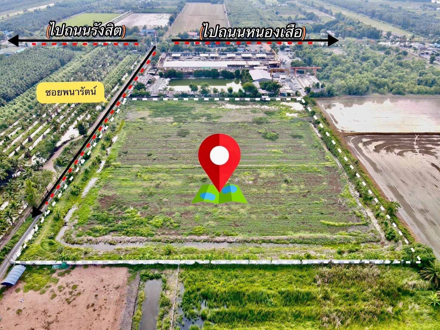 "ที่ดินในฝัน ใกล้กรุงเทพ 🌿 2 ไร่ – คลอง 9 อ.หนองเสือ จ.ปทุมธานี"