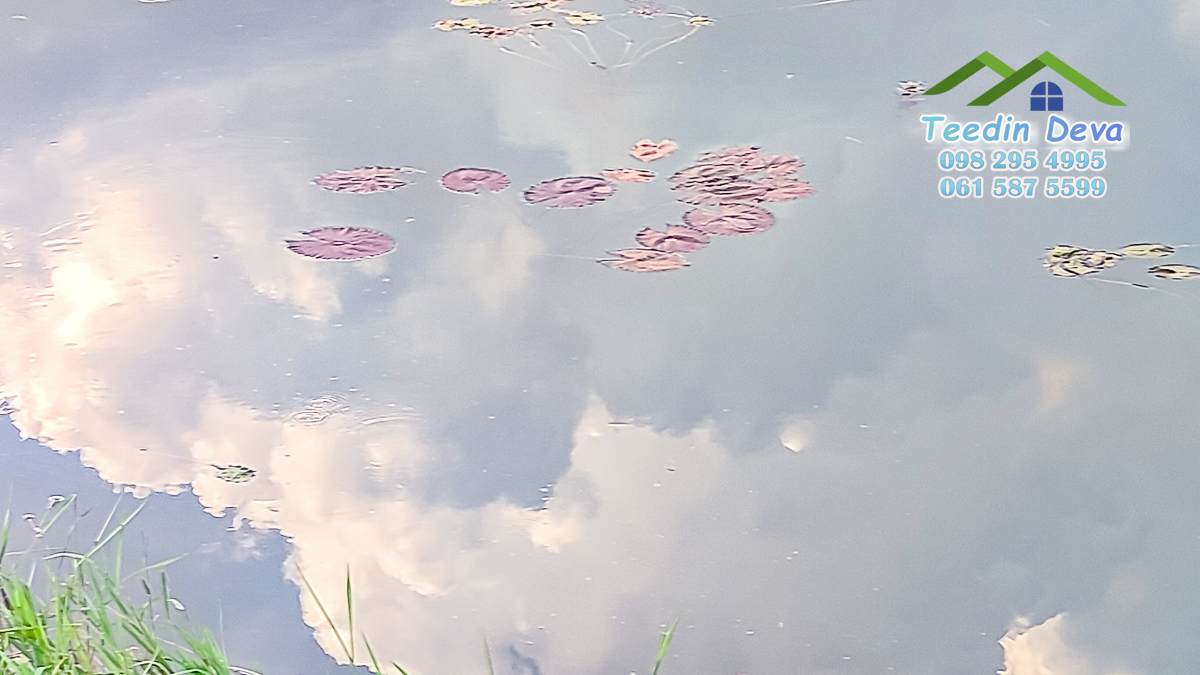 ที่ดินนครนายก แปลงสวย เหมาะทำบ้านสวนเกษตร 2 ไร่ 1 งาน 19 ตร.ว. ต.พรหมณี อ.เมือง จ.นครนายก