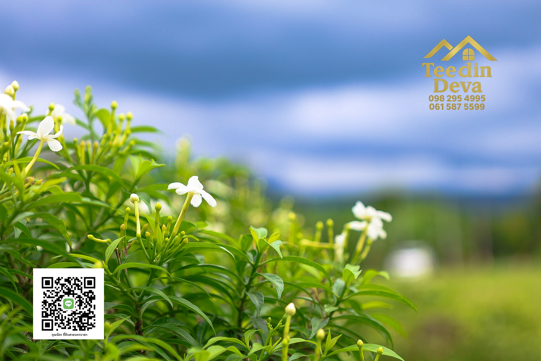 ที่ดินนครนายก วิวภูเขา ติดลำธาร ใกล้เขาใหญ่ ขนาด 1 ไร่ ทำเลดี ต.นาหินลาด อ.ปากพลี จ.นครนายก