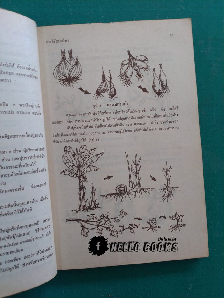การใช้สมุนไพร เล่ม ๑, ๒