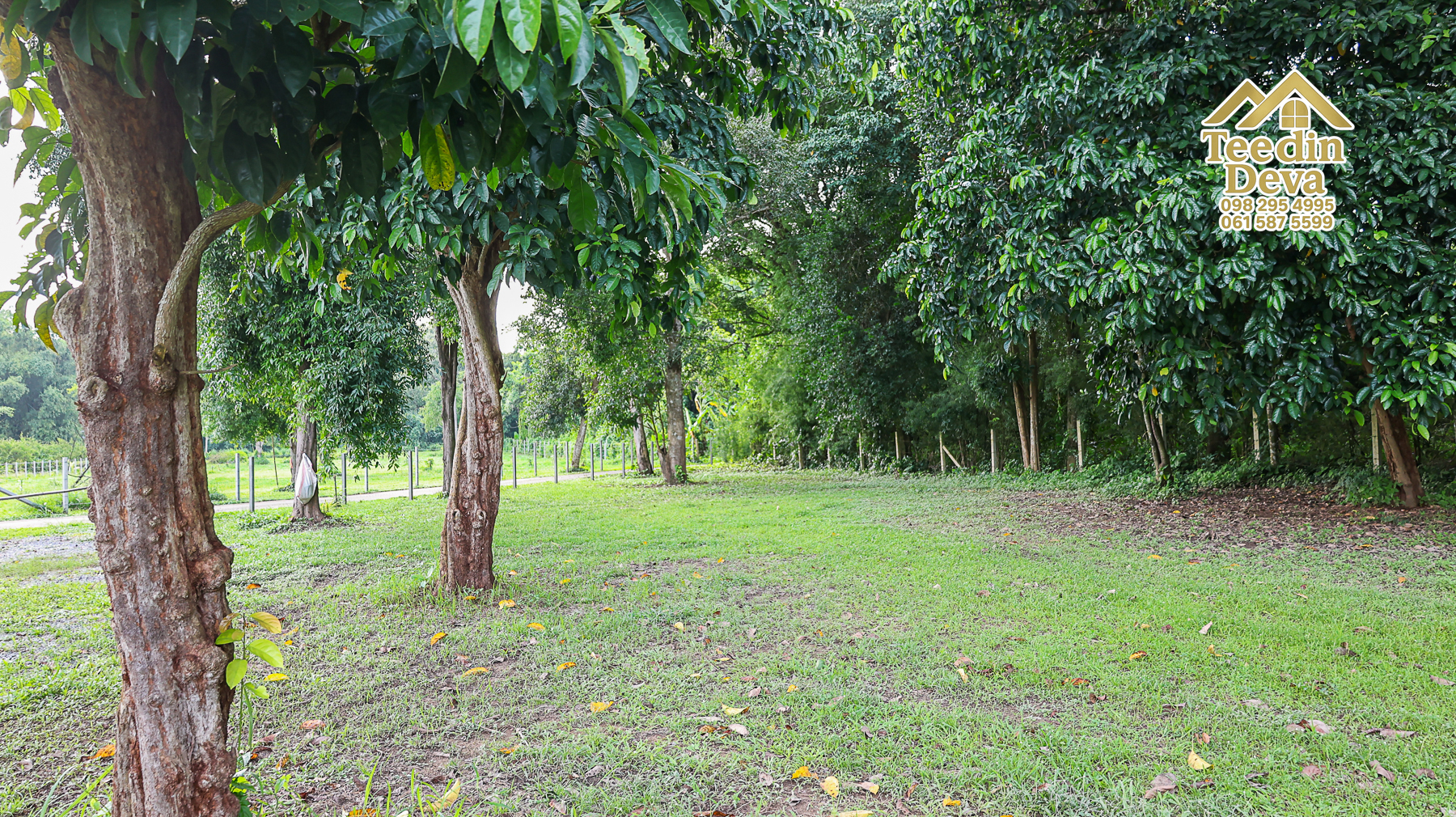 ที่ดินนครนายก ติดแม่น้ำ เนื้อที่ 4 ไร่ 2 งาน 64 ตรว. ต.สาริกา อ.เมือง จ.นครนายก