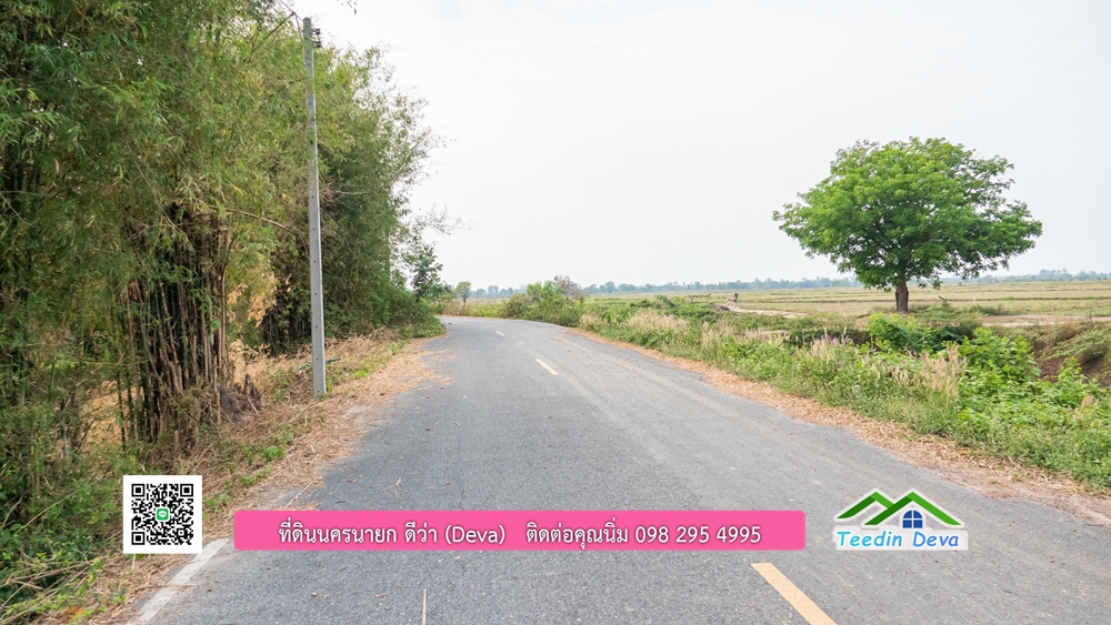 ขายที่ดิน สวนปาล์ม แปลงสวย ทำเลดี เนื้อที่ 11-3-8 ไร่ ให้ผลผลิตแล้ว อ.ปากพลี จ.นครนายก