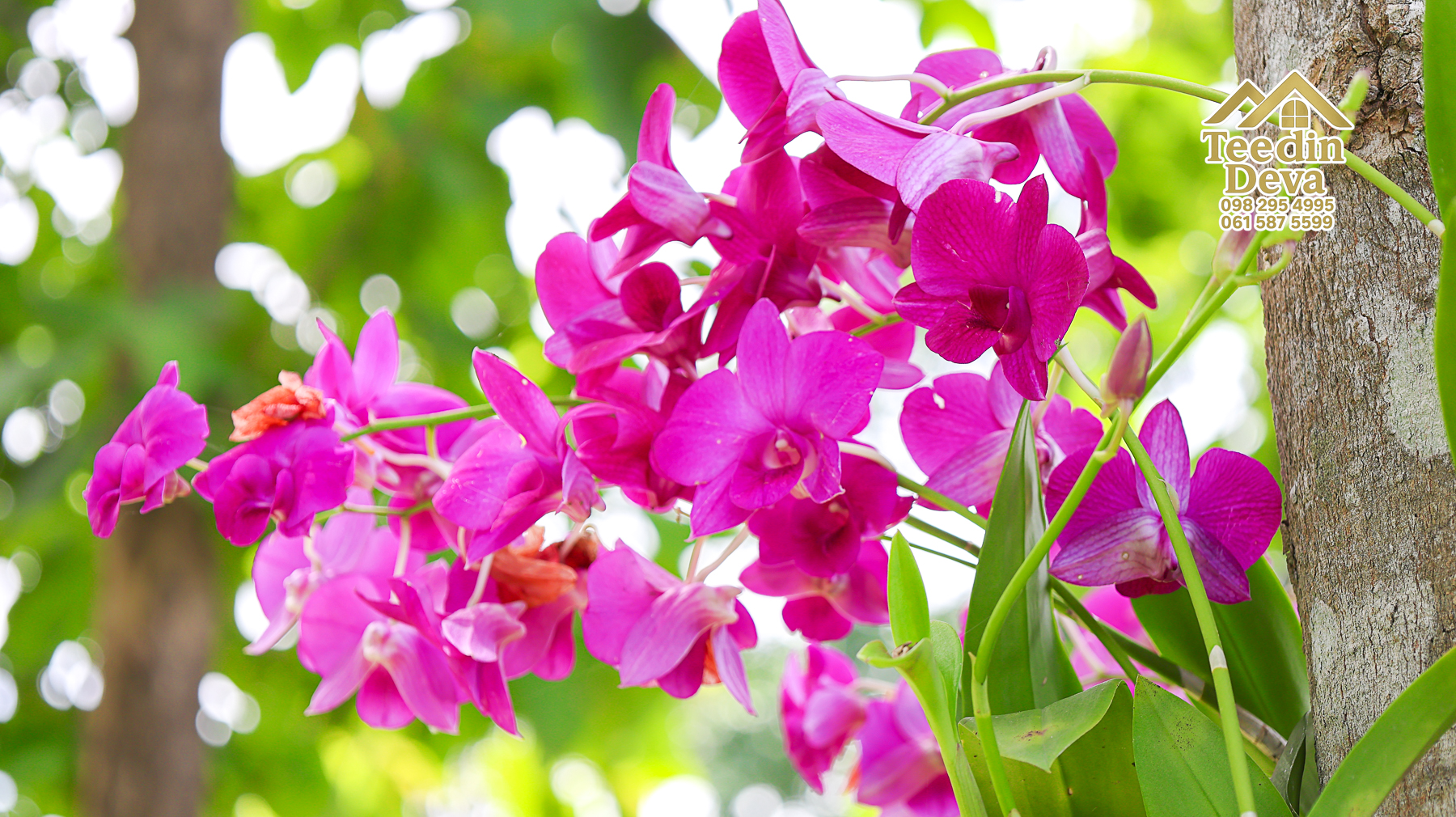 ðŋ āļāđāļēāļāļŠāļ§āļāđāļāļāļąāļ āļĢāļīāļĄāļĨāļģāļāļēāļĢ āļ§āļīāļ§āļ āļđāđāļāļēāļŠāļ§āļĒ â 821 āļāļĢ.āļ§. āļ.āļŠāļēāļĢāļīāļāļē āļ.āđāļĄāļ·āļāļ āļ.āļāļāļĢāļāļēāļĒāļ ðŋ