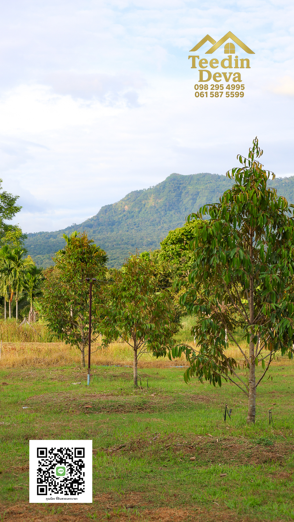 💭 ตื่นเช้าลมเย็น เห็นเขาใหญ่ตรงหน้า... ที่ดินสวนผลไม้ 2 ไร่ 3 งาน ต.นาหินลาด อ.ปากพลี จ.นครนายก