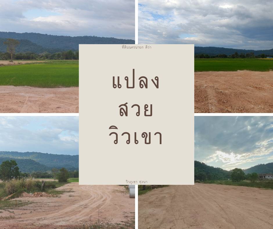 ที่ดินนครนายก วิวภูเขา ขนาด 2 ไร่ 1 งาน อยู่ใกล้ ภูตะลึง คาเฟ่ เหมาะทำธรุกิจรีสอร์ท คาเฟ่