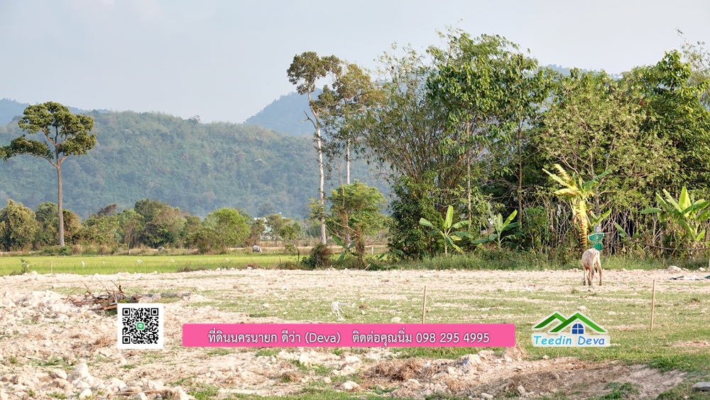 ที่ดินนครนายก วิวทุ่งนาต้นยางสวยๆ ขนาด 4 ไร่ ราคาไร่ละ 1.5 ล้าน ต.เขาเพิ่ม อ.บ้านนา จ.นครนายก