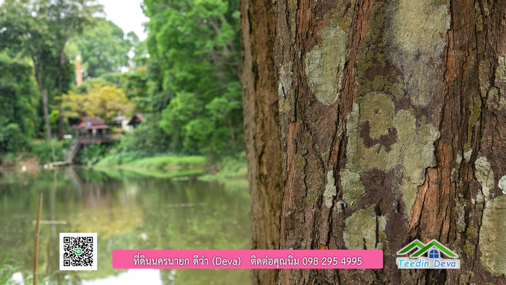 ที่ดินนครนายก ติดแม่น้ำ 14 ไร่ พื้นที่ติดแม่น้ำ 400 เมตร ชมลำธารสวยๆ บรรยากาศสบายๆ ต.สาริกา อ.เมือง จ.นครนายก