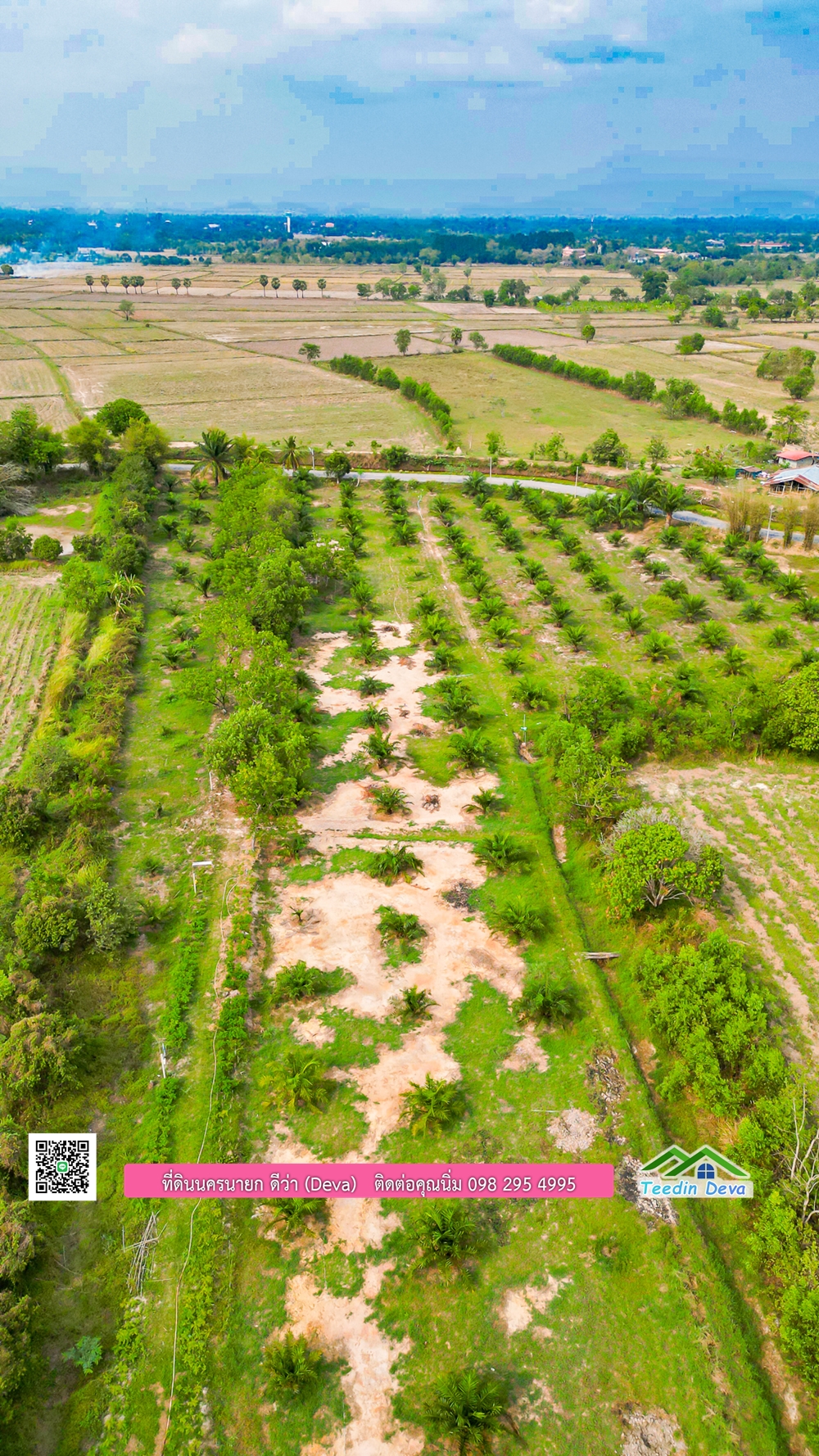 ขายที่ดิน สวนปาล์ม แปลงสวย ทำเลดี เนื้อที่ 11-3-8 ไร่ ให้ผลผลิตแล้ว อ.ปากพลี จ.นครนายก