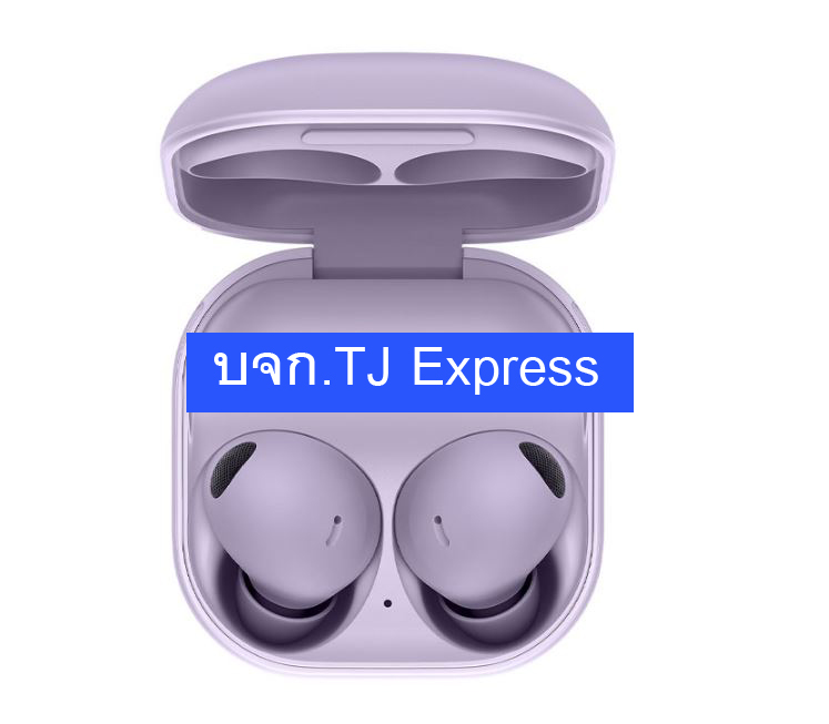 Bluetooth Earbuds SAMSUNG Galaxy Buds 2 Pro (R510NLVAASA) Purple