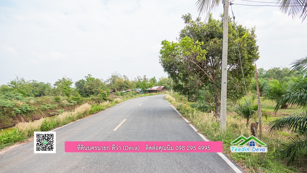 ขายที่ดิน สวนปาล์ม แปลงสวย ทำเลดี เนื้อที่ 11-3-8 ไร่ ให้ผลผลิตแล้ว อ.ปากพลี จ.นครนายก