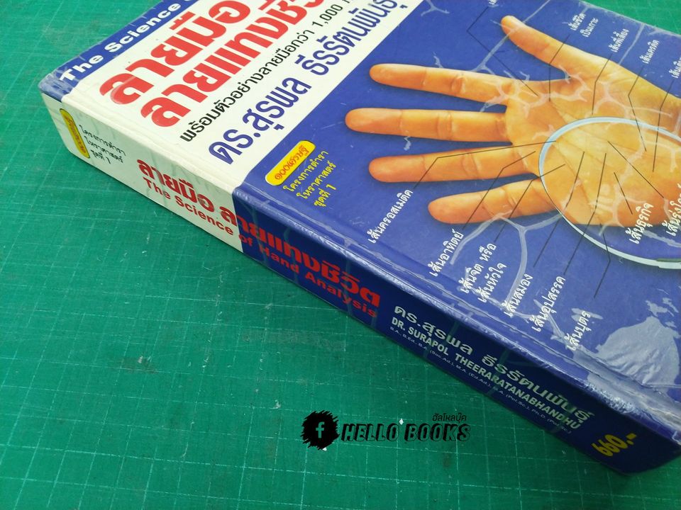 ลายมือลายแทงชีวิต