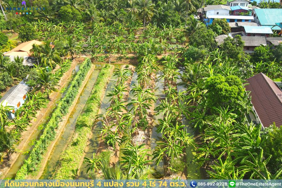 📣 ที่ดินสวนกลางเมืองนนทบุรี ใกล้ MRT-บางรักใหญ่ ใกล้เซ็นทรัลเวสต์เกต ใกล้ ถ.รัตนาธิเบศร์ เดินทางสะดวกมาก The Best ! | โทร. 085-992-9228