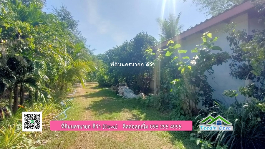 บ้านสวน ผลไม้ วิวอุทยานเขาใหญ่ เนื้อที่ 2 ไร่ 1 งาน อ.ปากพลี จ.นครนายก