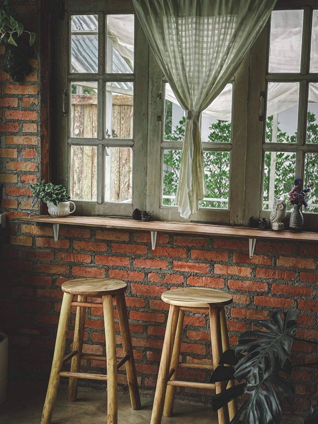 ขายที่ดิน พร้อมคาเฟ่ พร้อมบ้านโฮมออฟฟิศ ติดกับ ม.แม่โจ้ ทำธุรกิจได้สวยงาม (N.270)