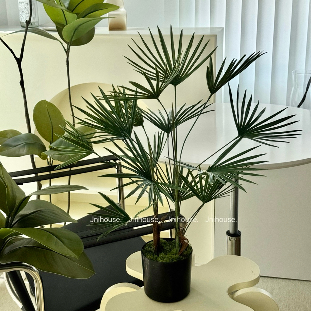 [พร้อมส่ง] Jnihouse : ต้นจั๋งประดิษฐ์ (Lady palm tree)
