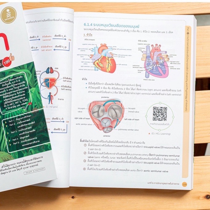 Infopress (อินโฟเพรส) สรุปเข้ม + ข้อสอบ ชีววิทยา ม.ปลาย ฉบับสมบูรณ์ มั่นใจเต็ม 100 - 71502