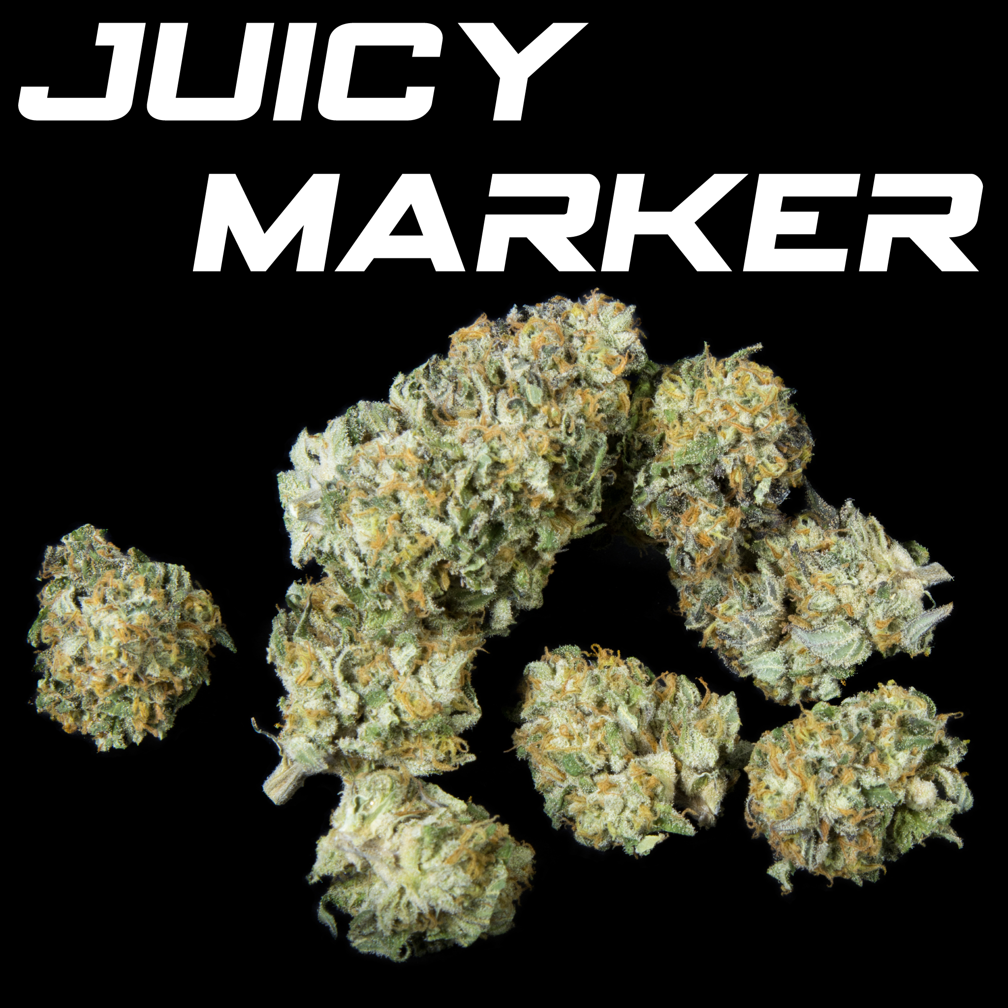 Juicy Marker (In Door)