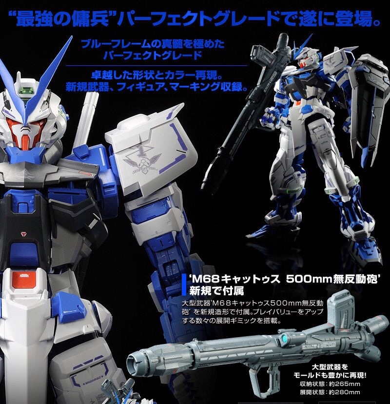 (PG) 1/60 GUNDAM ASTRAY BLUE FRAME (Premium Bandai)