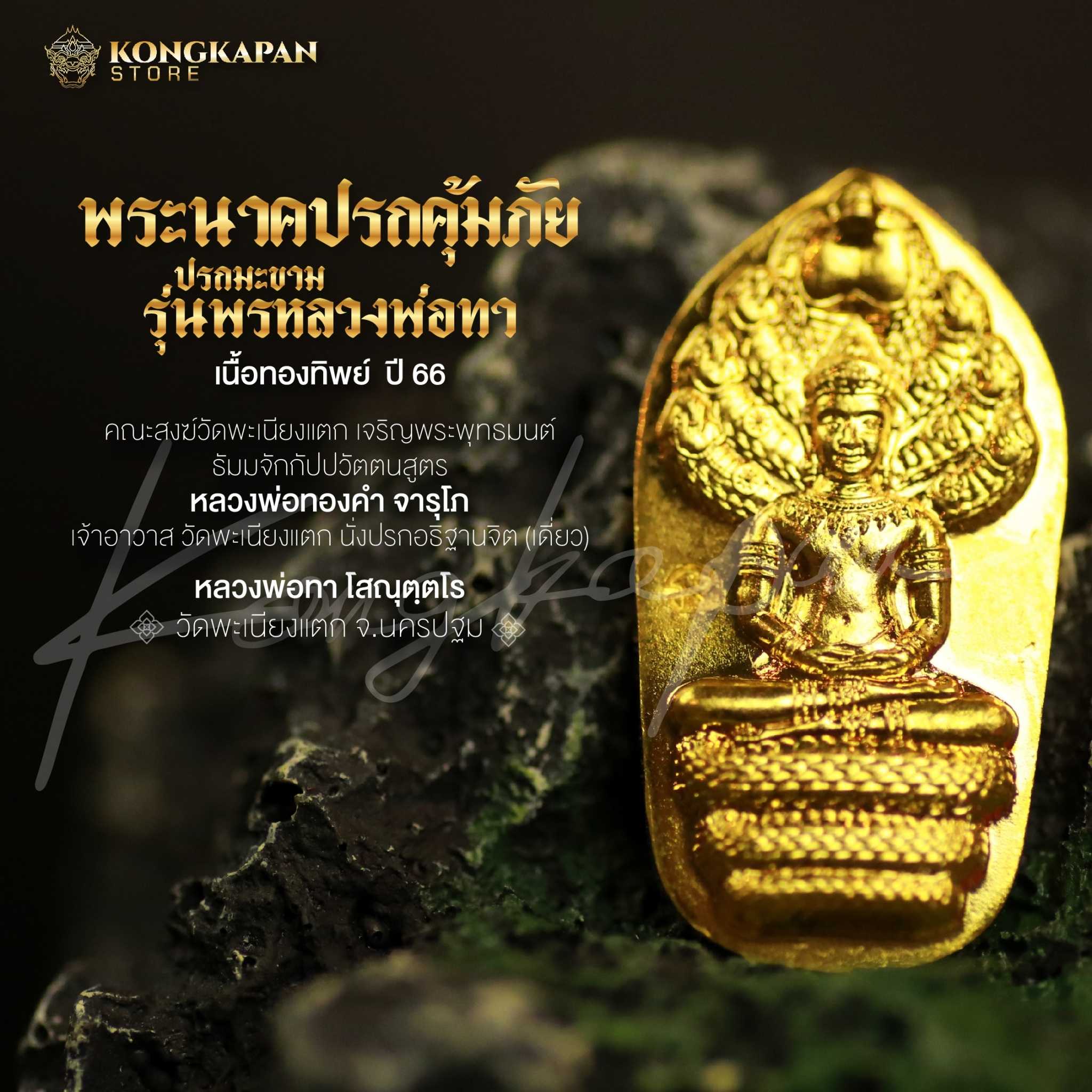 เหรียญพระนาคปรกคุ้มภัย เนื้อทองทิพย์ รุ่น พรหลวงพ่อทา สร้างปี พ.ศ. ๒๕๖๖