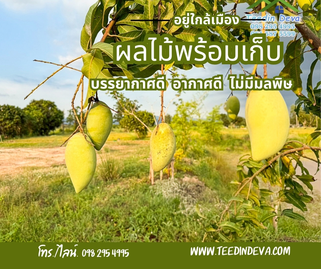 ที่ดินนครนายก วิวภูเขา บรรยากาศสุดชิลล์ เหมาะสำหรับทำ บ้านสวน อ.เมือง จ.นครนายก