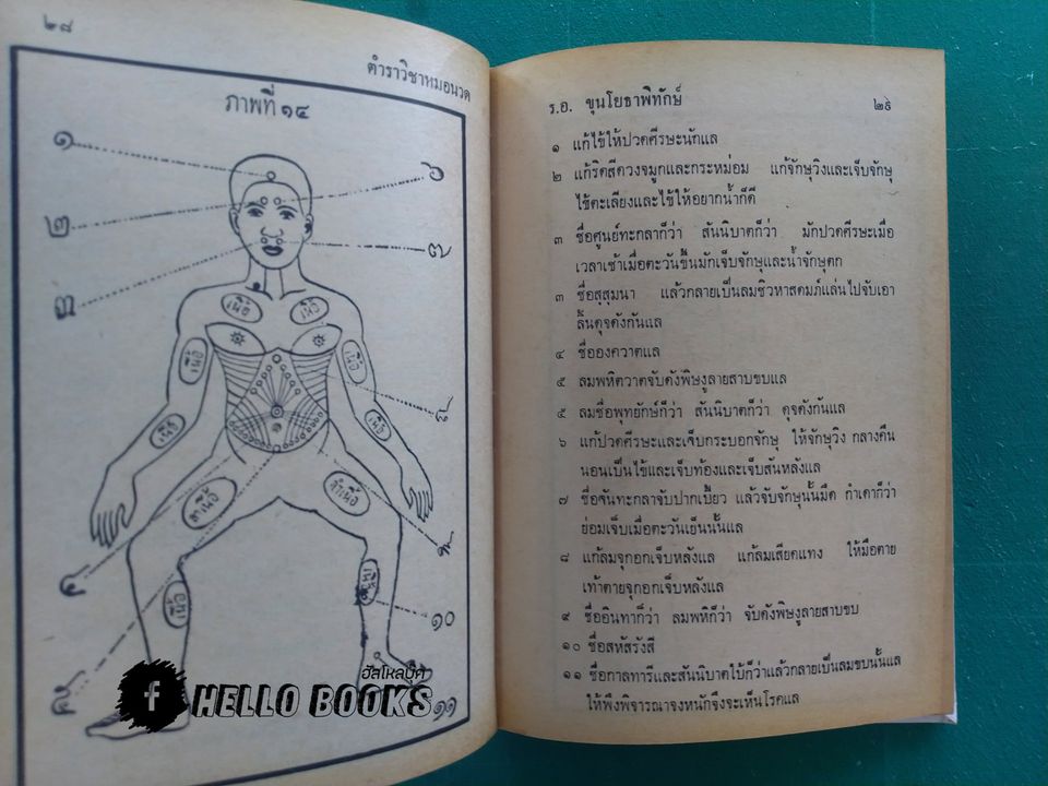 ตำราแพทย์แผนโบราณ ว่าด้วย วิชาหมอนวด