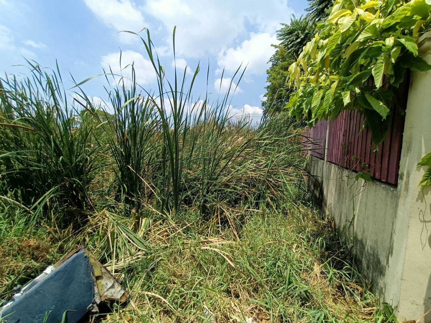 ขายที่ดินเปล่าทำเลยอดนิยมย่านพัฒนาการ ซอย อ่อนนุช 70/1 (N.642)