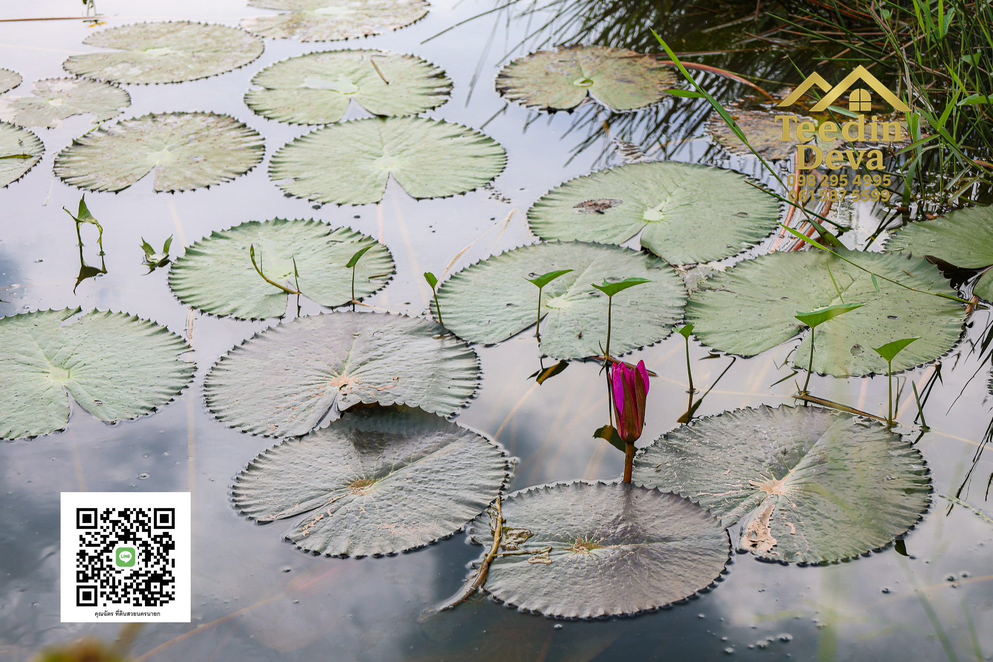 🌿 “ที่ดินสวนสวย ทำเลเงียบสงบ” 150 ตรว. ต.ศรีนาวา อ.เมือง จ.นครนายก 🌿