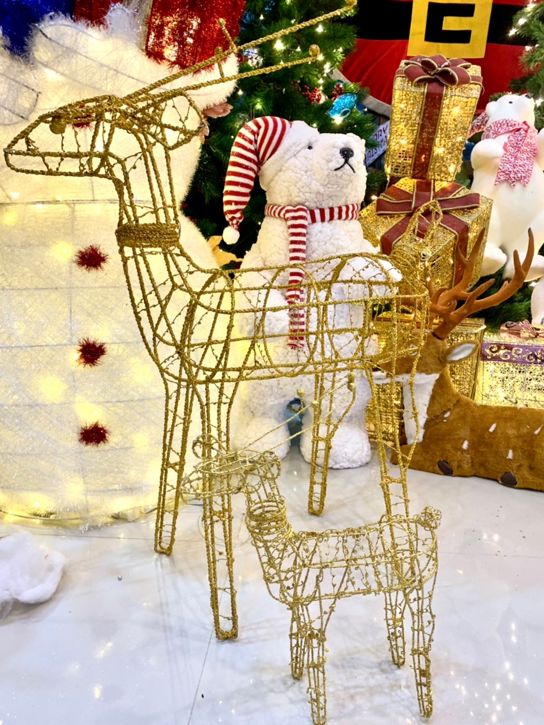 กวางคริสต์มาสสีทอง"ได้คู่"