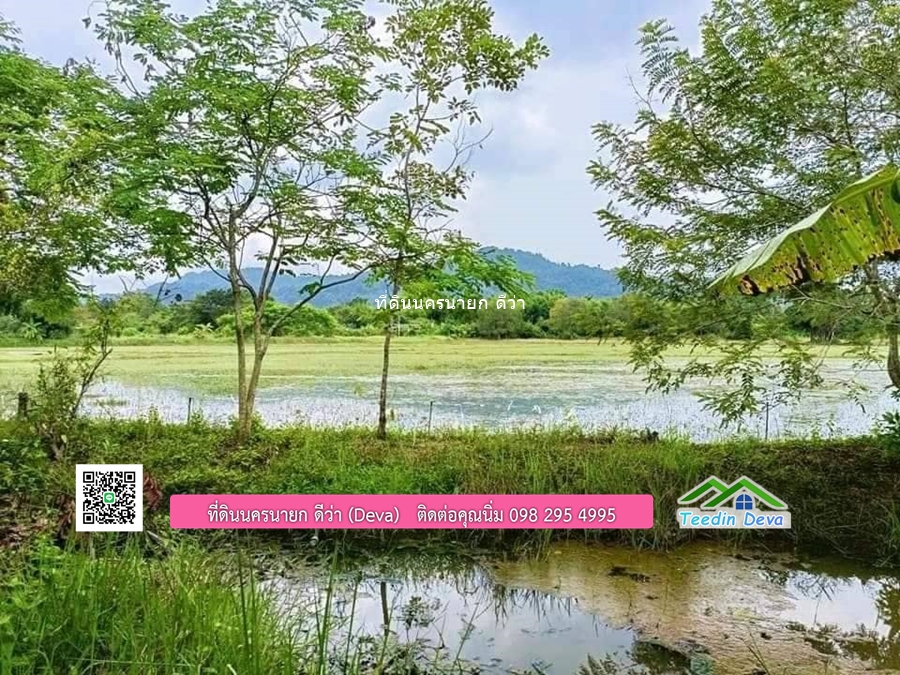 บ้านสวน ผลไม้ วิวอุทยานเขาใหญ่ เนื้อที่ 2 ไร่ 1 งาน อ.ปากพลี จ.นครนายก