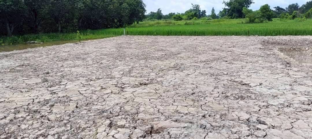 🌿 “ที่ดินสวนสวย ทำเลเงียบสงบ” 150 ตรว. ต.ศรีนาวา อ.เมือง จ.นครนายก 🌿