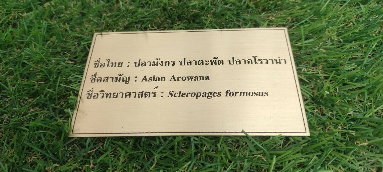 ป้ายทองเหลืองแฮร์ไลน์กัดกรด