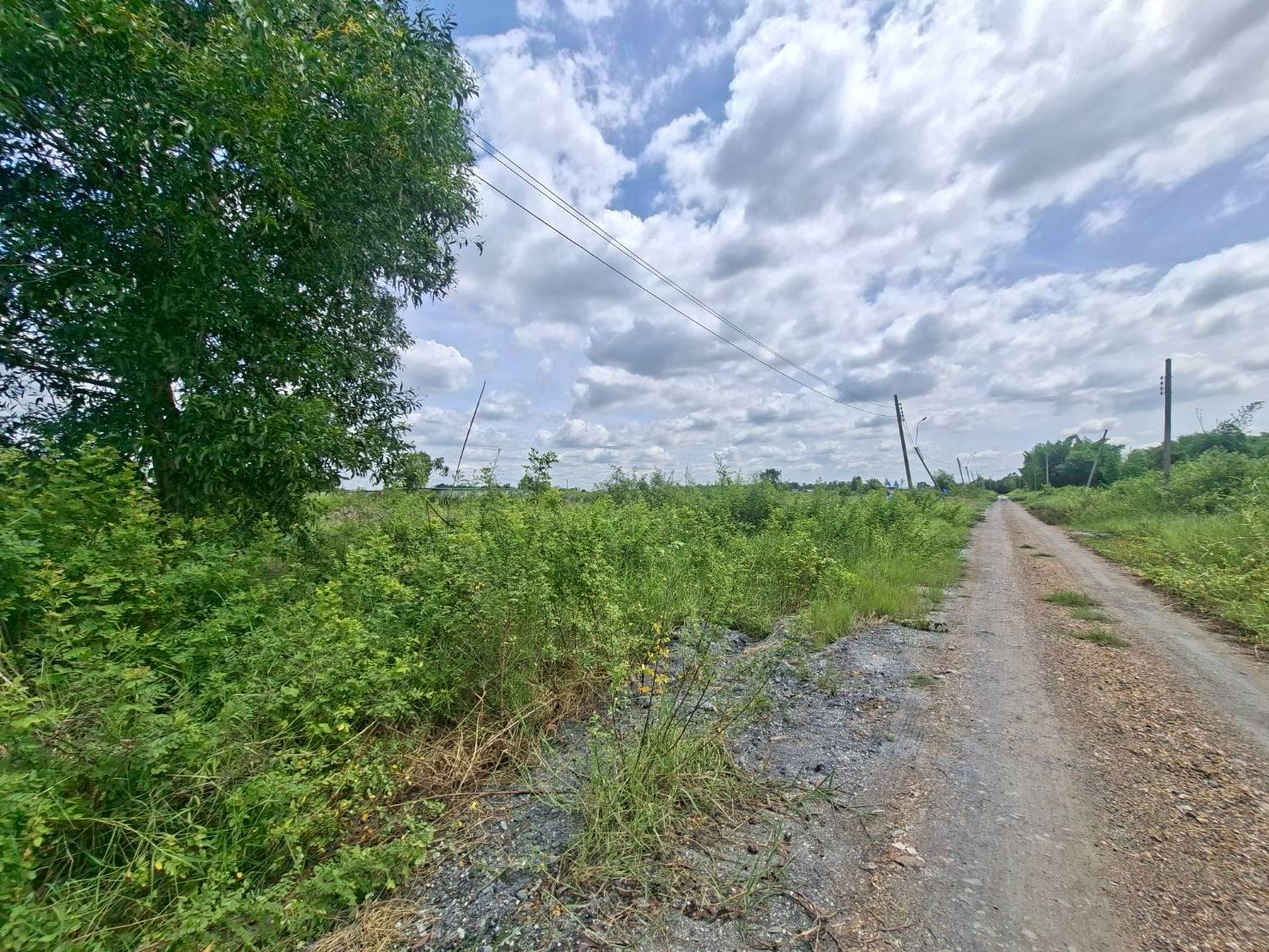 ขายที่ดินฉลองกรุงการ์เด้น (N.1298)