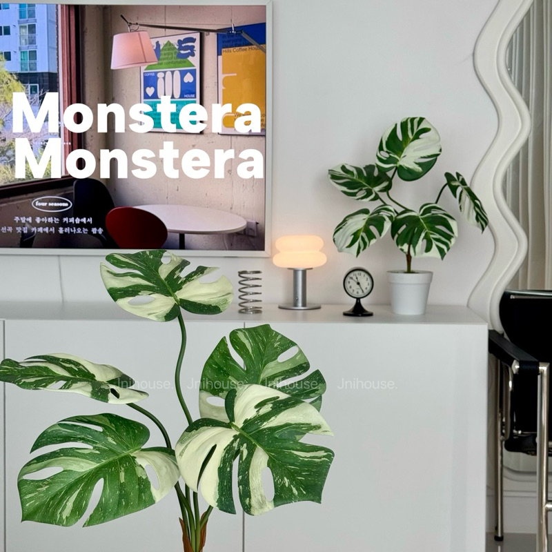 [พร้อมส่ง] Jnihouse : ต้นมอนสเตร่าประดิษฐ์กระถางขาว (Monstera Plant)(Tree)