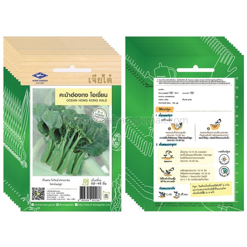 เมล็ดพันธุ์คะน้าฮ่องกง โอเชี่ยน-เจียไต๋ (10ซอง)