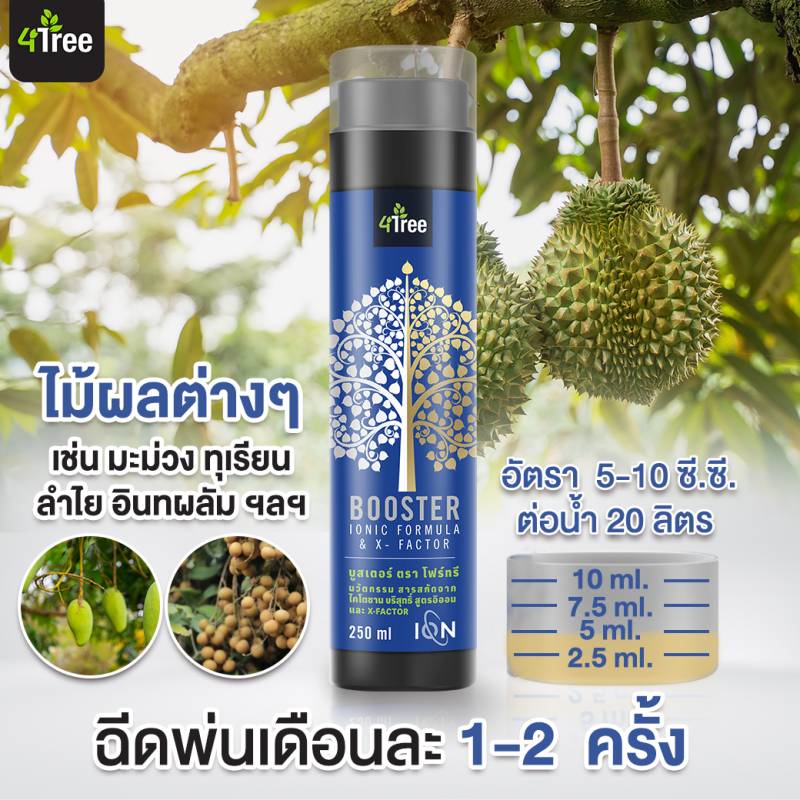 4tree BOOSTER นวัตกรรมสารสกัดจากไคโตซาน