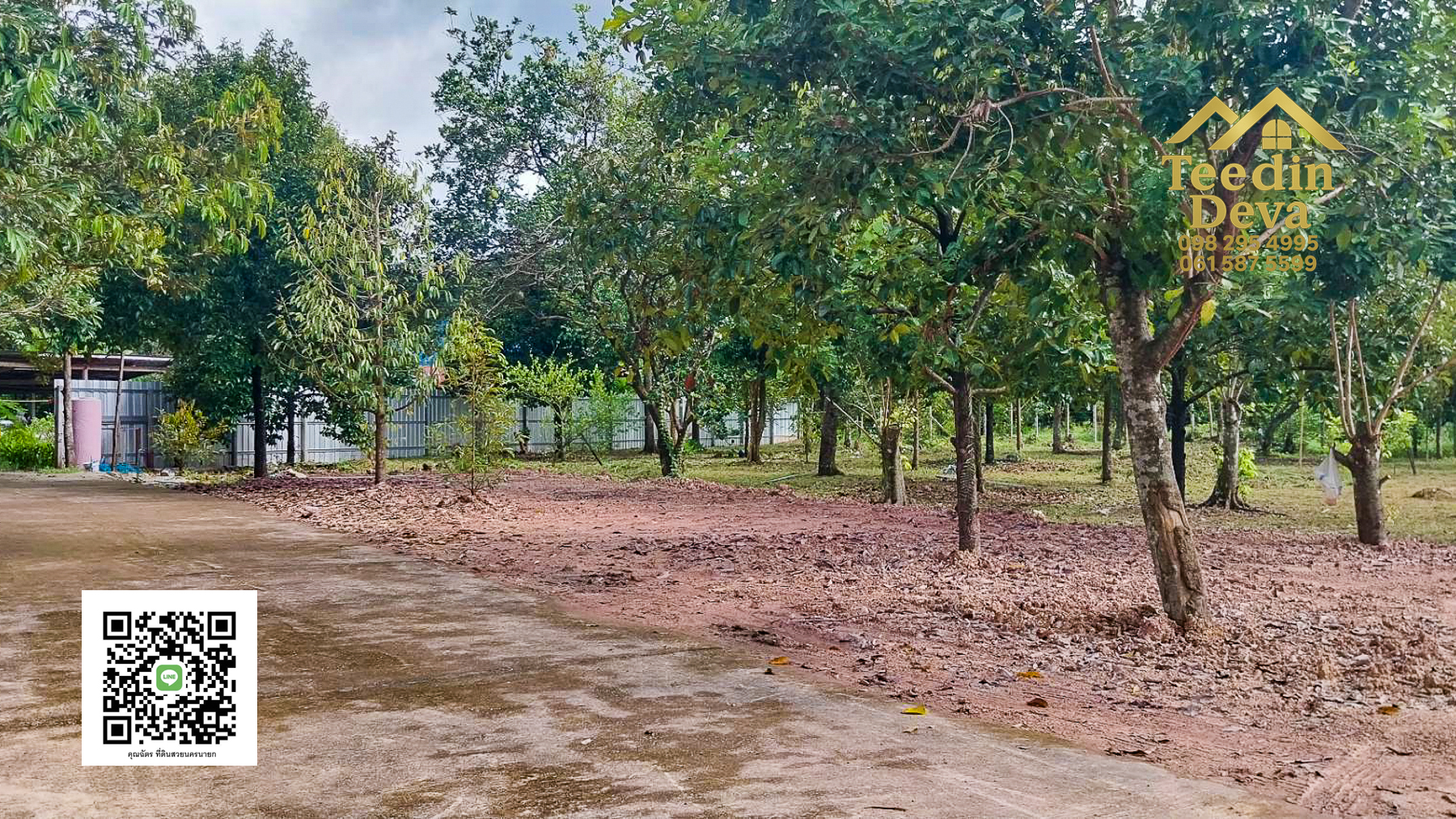 ที่ดินนครนายก สวนผลไม้ ทุเรียน มังคุด พร้อมเก็บเกี่ยว ขนาด 1 ไร่ ต.หินตั้ง อ.เมือง จ.นครนายก