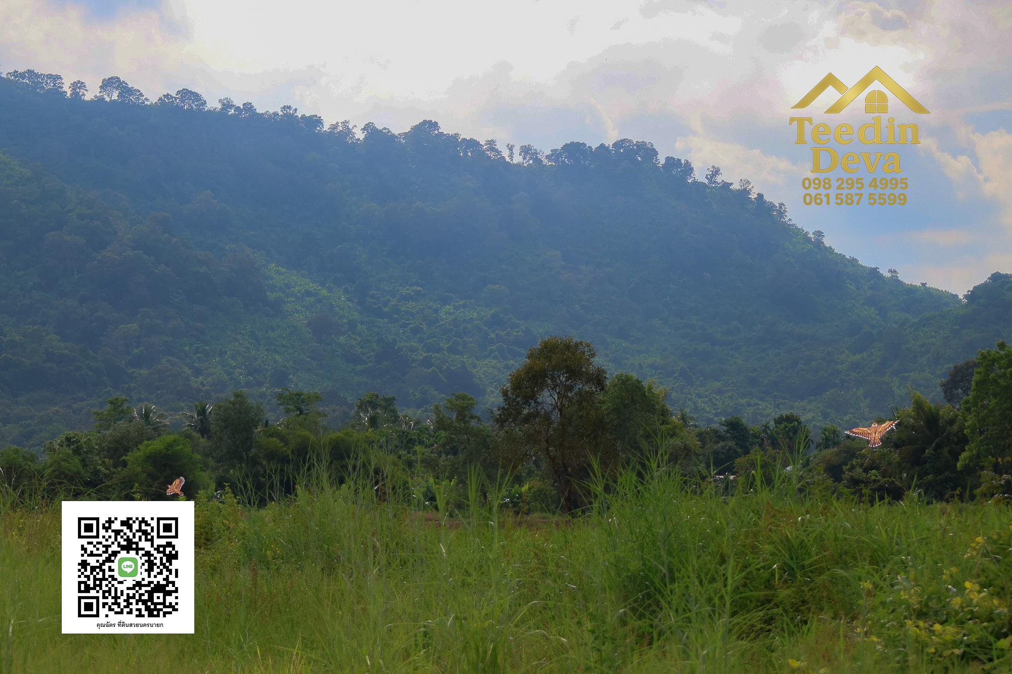 🏡✨ ที่ดินวิวภูเขา โอบด้วยธรรมชาติ…พักใจได้ทุกวัน 🌿 100 ตรว ต.เขาพระ อ.เมือง จ.นครนายก