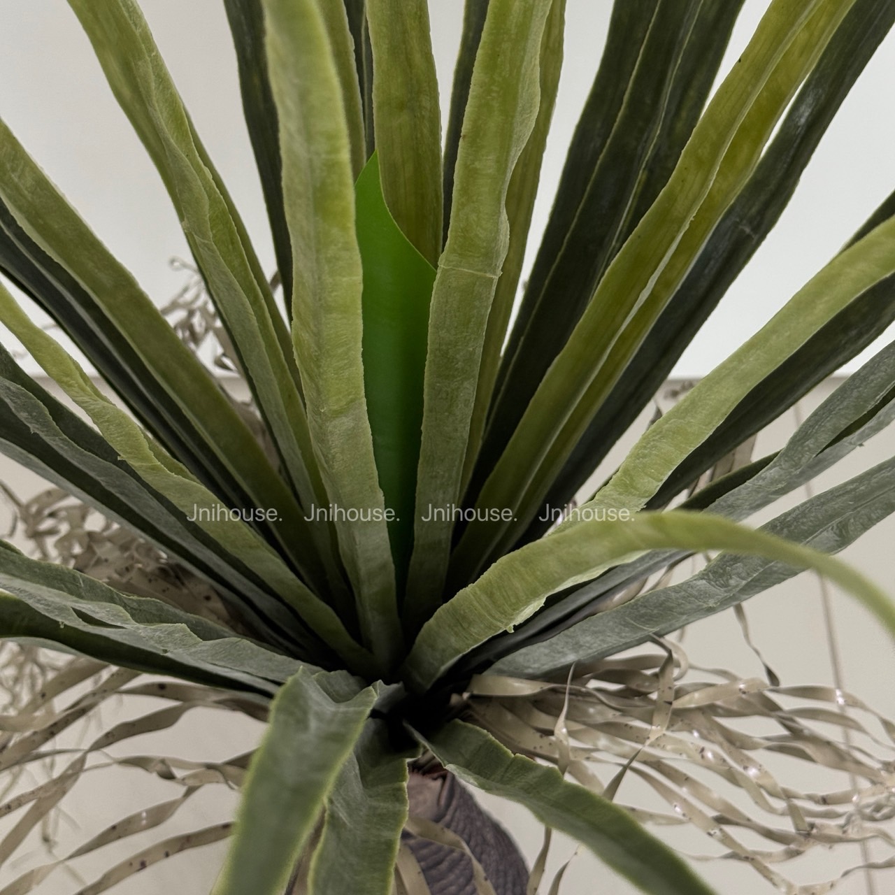 [พร้อมส่ง] : Jnihouse ต้นยุคคาประดิษฐ์ สูง 80 cm (Yucca Rostrata)(Tree)