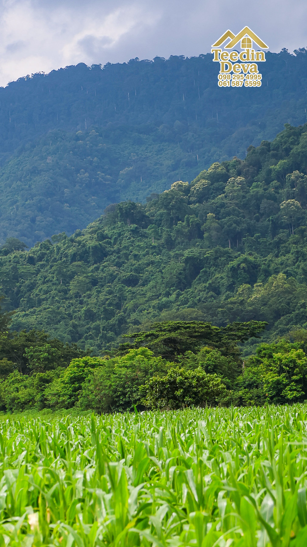🌿 “ที่ดินในฝัน...ริมสายน้ำ ใต้เงาภูเขา” 2 ไร่ 3 งาน 84 ตรว. ต.เขาพระ อ.เมือง จ.นครนายก 🏞️