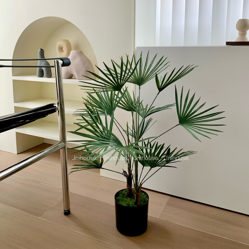 [พร้อมส่ง] Jnihouse : ต้นจั๋งประดิษฐ์ (Lady palm tree)