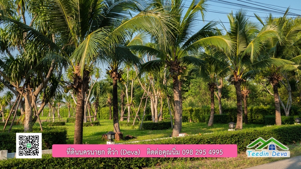 ขายบ้าน ทำเลธุรกิจ สามารถประยุกต์เป็นร้านอาหาร และคาเฟ่